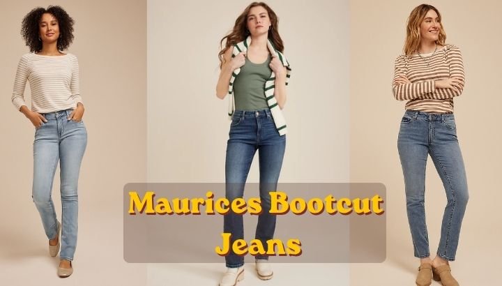 maurices-bootcut-jeans